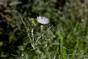 Similar image 22180391