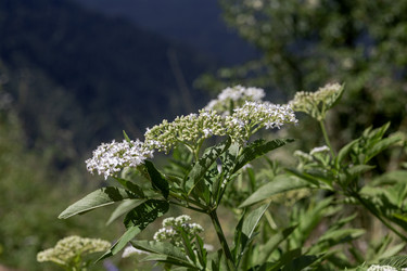 Similar image 22180395