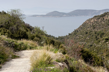 Similar image 22180397