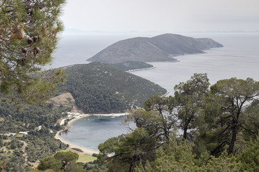 Similar image 22180398