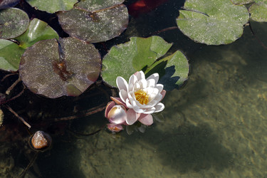 Similar image 22180399