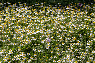 Similar image 22180400