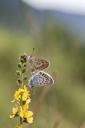 Similar image 22180418