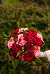 Similar image 22181440