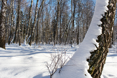 Similar image 22181443