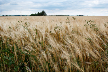 Similar image 22181473