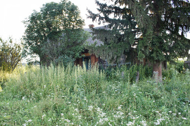 Similar image 22184106