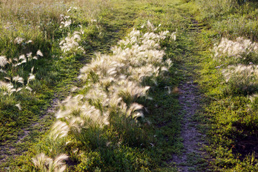 Similar image 22184109