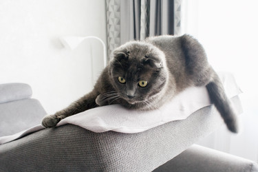 Similar image 22184113