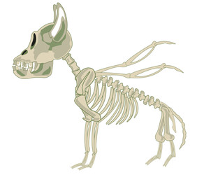 Similar image 22192441