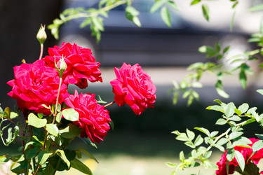 Similar image 22184130