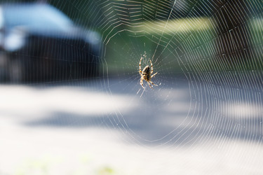 Similar image 22186080