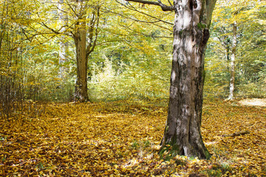 Similar image 22181489