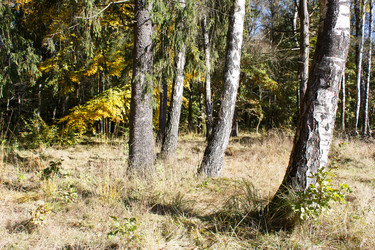 Similar image 22181490