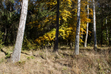 Similar image 22181491