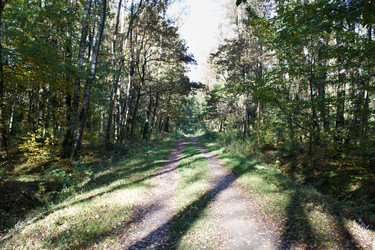 Similar image 22181492