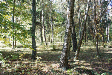 Similar image 22181493