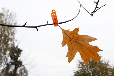 Similar image 22181494