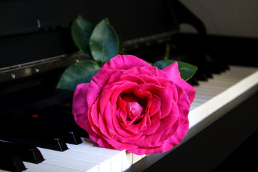 Similar image 22181498