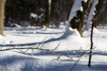 Similar image 22181503