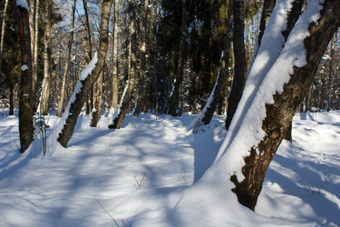 Similar image 22181505