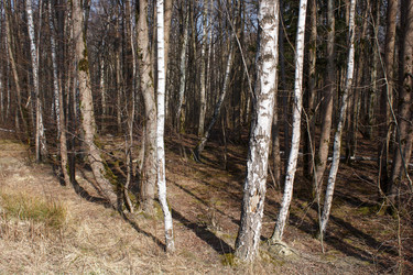 Similar image 22181507