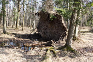 Similar image 22181508