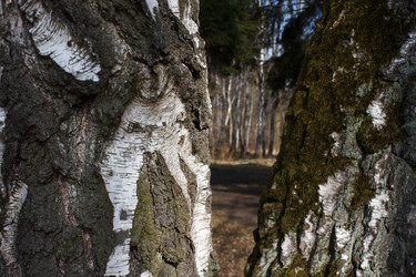 Similar image 22181509