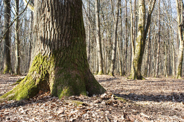 Similar image 22181510