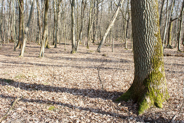 Similar image 22181511