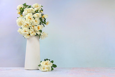 Similar image 22186998