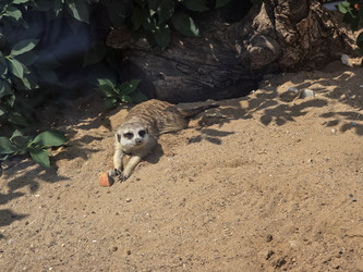 Similar image 22181513