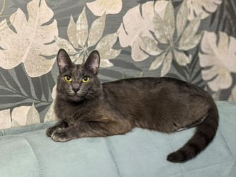 Similar image 22181518