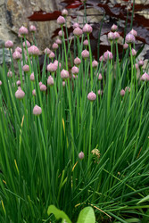 Similar image 22188717