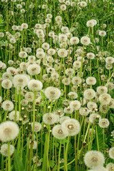 Similar image 22187012