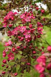 Similar image 22181521