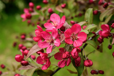 Similar image 22181522