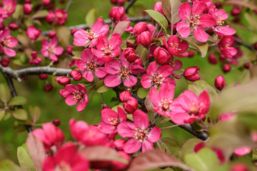 Similar image 22181523