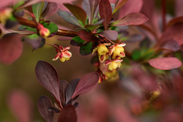 Similar image 22181524