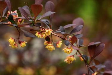 Similar image 22181525