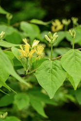 Similar image 22188492