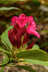 Similar image 22181528