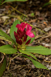 Similar image 22181529