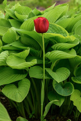 Similar image 22181530