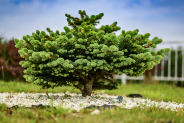 Similar image 22186545