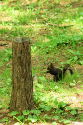 Similar image 22186550