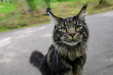 Similar image 22181531