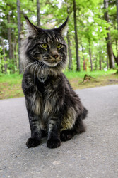 Similar image 22181533