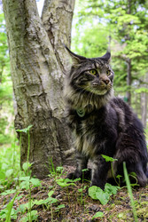 Similar image 22181534