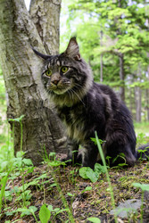 Similar image 22181535